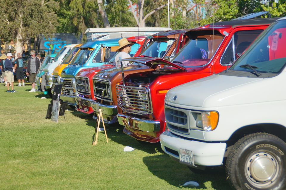Line of custom vans parked on grass, front view