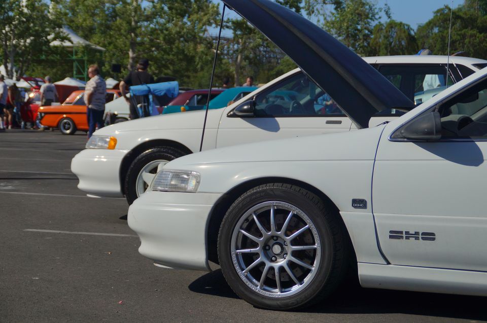 Two white Ford Taurus SHO sedans parked, front car hood open, showing aftermarket wheels and SHO badge.