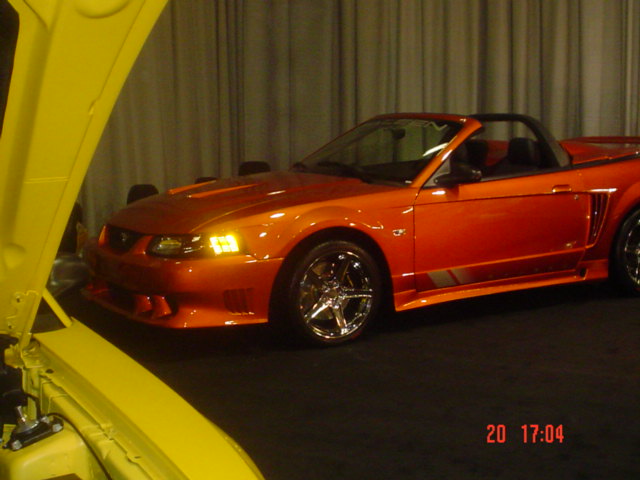Saleen S281 Convertable