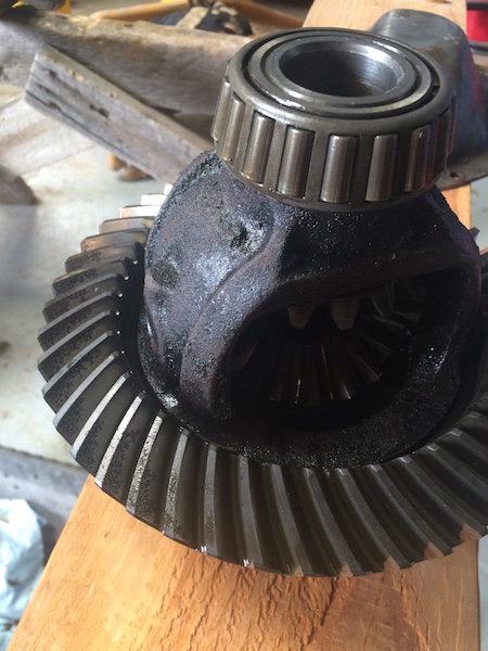 1981 Ford Bronco - A close-up view shows a differential gear assembly with a bearing resting on top. The metal parts are covered in grease and show signs of w…