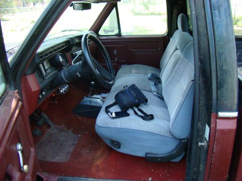 1981 Ford F-100