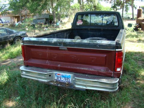 1981 Ford F-100