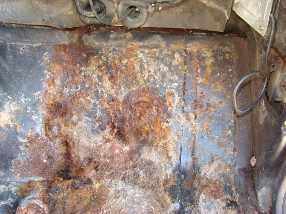Close-up of a heavily rusted and debris-covered vehicle floor pan with wires visible.