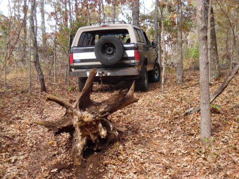 2004 Land Rover Land Rover - Several stumps had to be pulled out.