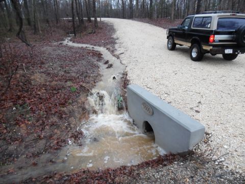 2004 Land Rover Land Rover “Random Pics”
