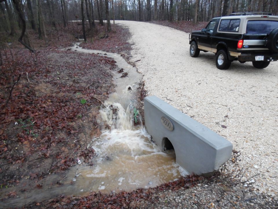 There's some erosion where this flow meets the ditch, but it appears to be slowing down as it gets to the harder clay.