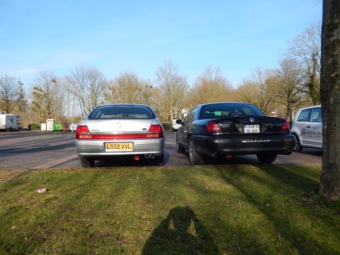 1999 Ford Fairlane - The rear view of two sedans parked on an asphalt lot with a grassy area in the foreground. The silver sedan on the left has a license plate…