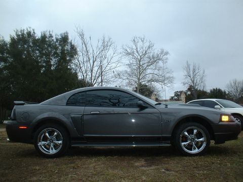 2003 Ford Mustang - Side view of a gray coupe with chrome wheels, identified as a 2003 Ford Mustang.
