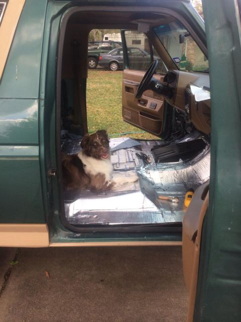 1990 Ford Bronco - Dog approved