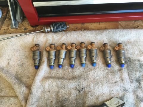 1987 Ford Bronco - Eight fuel injectors are shown on a towel with a screwdriver nearby.