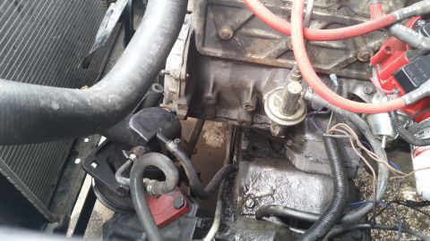1981 Ford Bronco - Close-up view of an engine bay, focusing on hoses, wiring, and engine components.