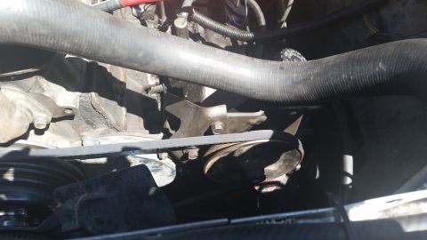 1981 Ford Bronco - A view of the engine compartment, focusing on the belt-driven components and hoses.