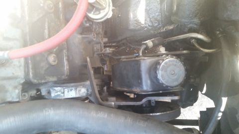 1981 Ford Bronco - Close-up view of the power steering pump and associated hoses within an engine bay.