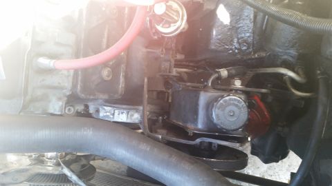 1981 Ford Bronco - This image shows various engine components, including hoses and a power steering fluid reservoir.