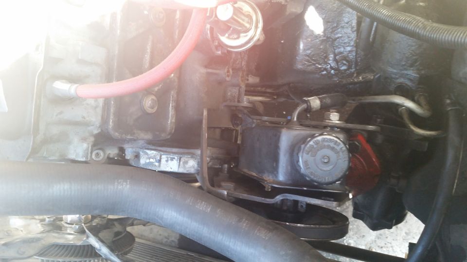 close-up of engine bay with hoses and power steering reservoir