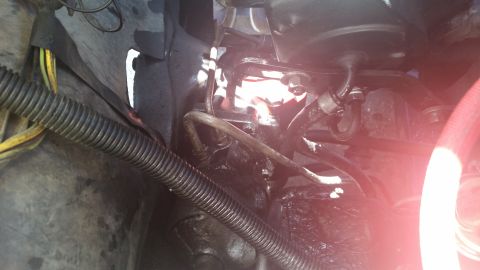 1981 Ford Bronco - Close-up view of the engine compartment, showing various mechanical parts and wiring.
