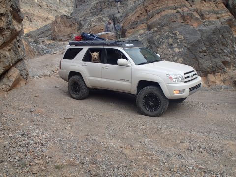 2003 Toyota 4Runner photo