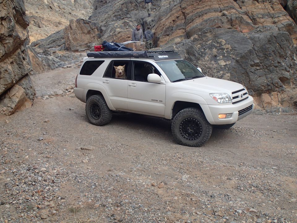 White 2003 Toyota 4Runner with a dog in the driver's window, driving on a rocky, off-road trail