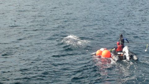 1991 Ford Bronco - A research boat is near a surfacing whale in the ocean, with orange buoys attached.