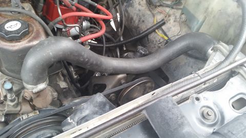 1981 Ford Bronco - Close-up view of a vehicle's engine bay, showing various hoses, belts, and electrical components.
