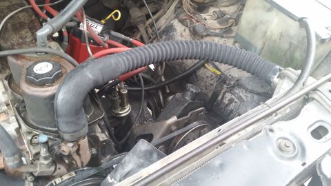 1981 Ford Bronco - The engine bay of a 1981 Ford Bronco shows the power steering pump and associated hoses.