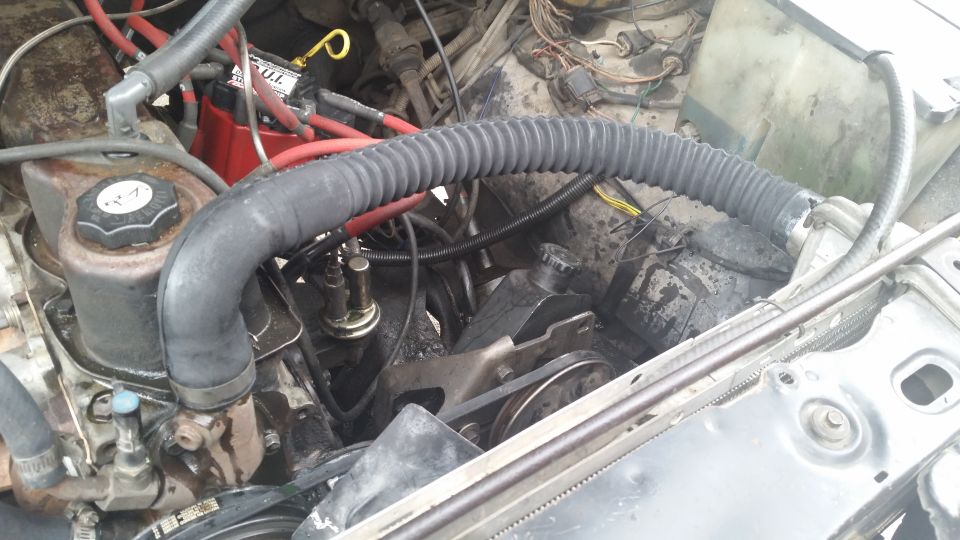 1981 Ford Bronco engine bay with power steering pump and hoses