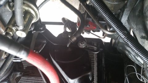 1981 Ford Bronco - Close-up view of engine bay components, including hoses and a radiator, with Supermotors.net watermark.