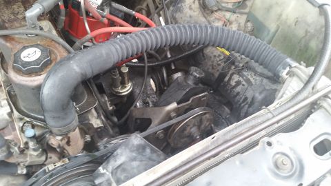 1981 Ford Bronco - Close-up view of an engine bay, focusing on the power steering system components.