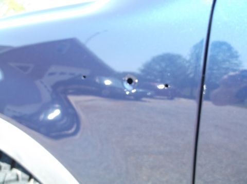2005 Ford F-150 - This vehicle has several bullet holes on its side panel, with reflections of the surroundings visible.