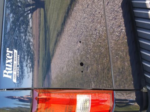 2005 Ford F-150 - Rear view of a black pickup truck showing a dealership logo and taillight assembly.