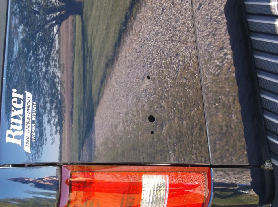 Black pickup truck tailgate with Ruxer Ford-Lincoln-Mercury Jasper, Indiana logo and part of a red taillight