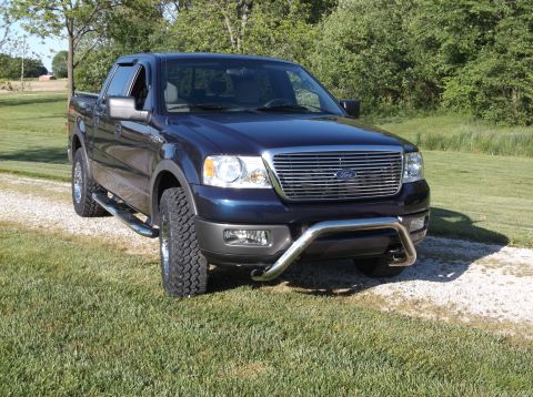 2005 Ford F-150 - This Ford F-150 pickup truck is parked on a grassy area next to a gravel driveway with trees in the background.