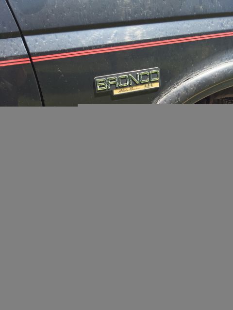1994 Ford Bronco - Close-up of the 'Bronco Eddie Bauer 4x4' emblem on a 1994 Ford Bronco.