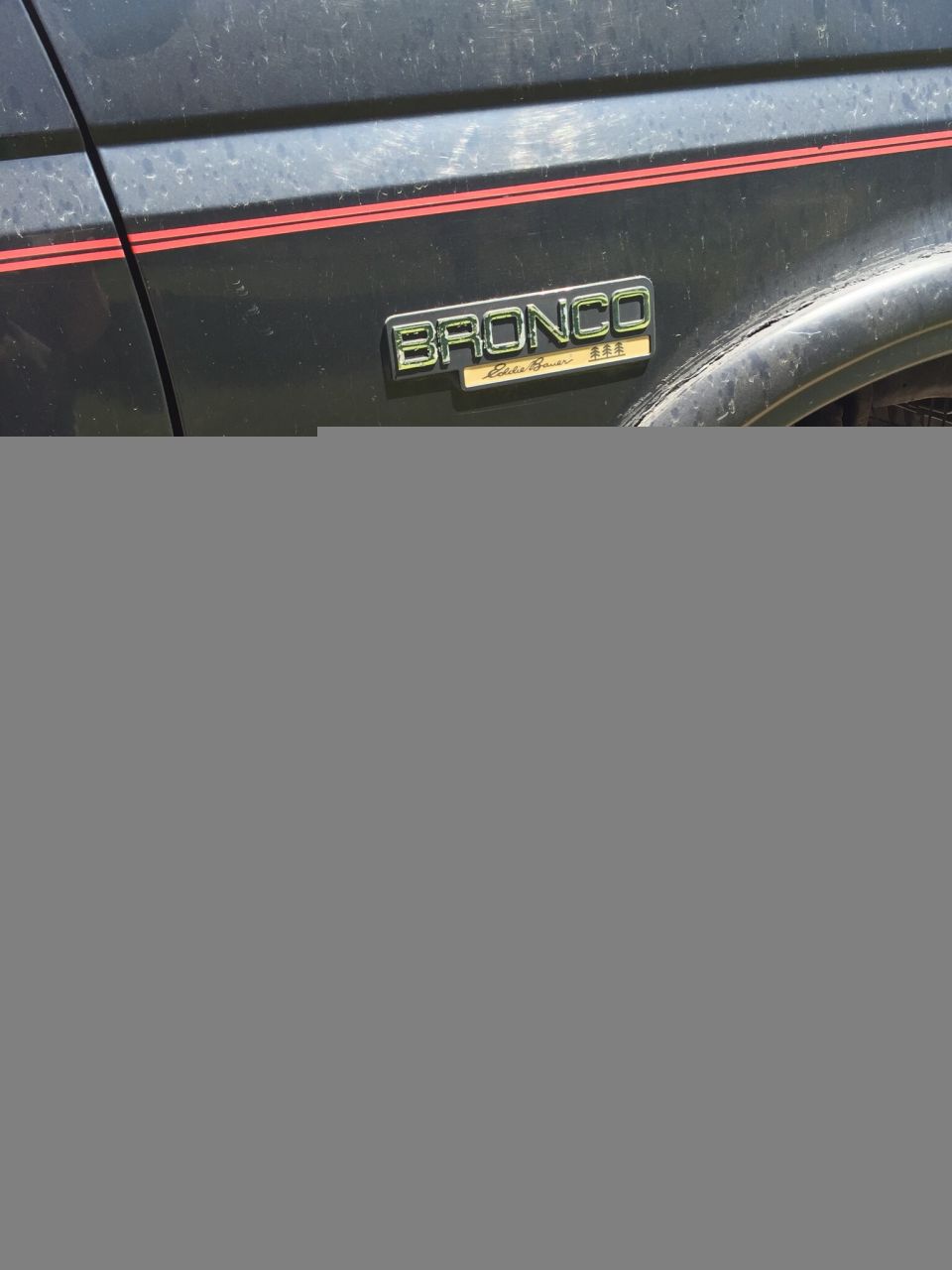 1994 Ford Bronco Eddie Bauer 4x4 emblem on dark body with red stripe