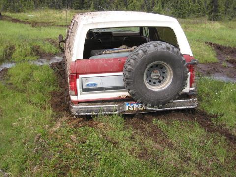 1985 Ford Bronco - This 1985 Ford Bronco is stuck in a muddy field, with its rear end facing the camera.