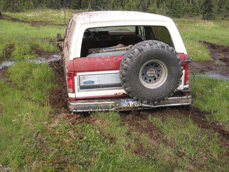 White and red Ford Bronco stuck in mud, rear view with spare tire