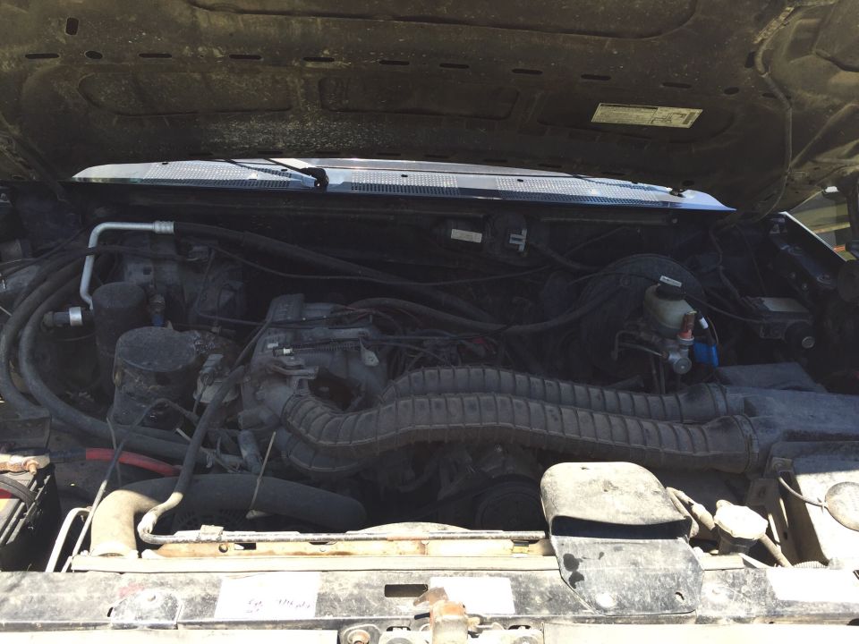 Engine bay with hoses and engine components visible under the hood