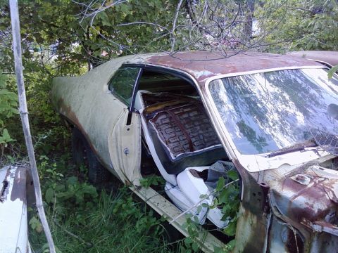 1974 Dodge Challenger - This 1974 Dodge Challenger is in rough shape, sitting abandoned and covered in vegetation.