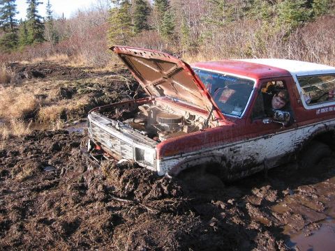 1985 Ford Bronco - This 1985 Ford Bronco is deeply stuck in mud, with its hood propped open, suggesting a mechanical issue or a difficult off-road situation.