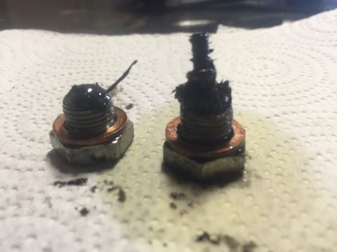 1982 Ford Bronco - Oil drain plugs removed during service, showing accumulated sludge and metal particles.
