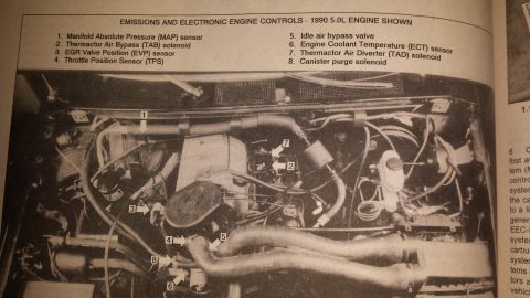 1991 Ford Bronco - This document details the emissions and electronic engine controls for a 1990 5.0L engine.