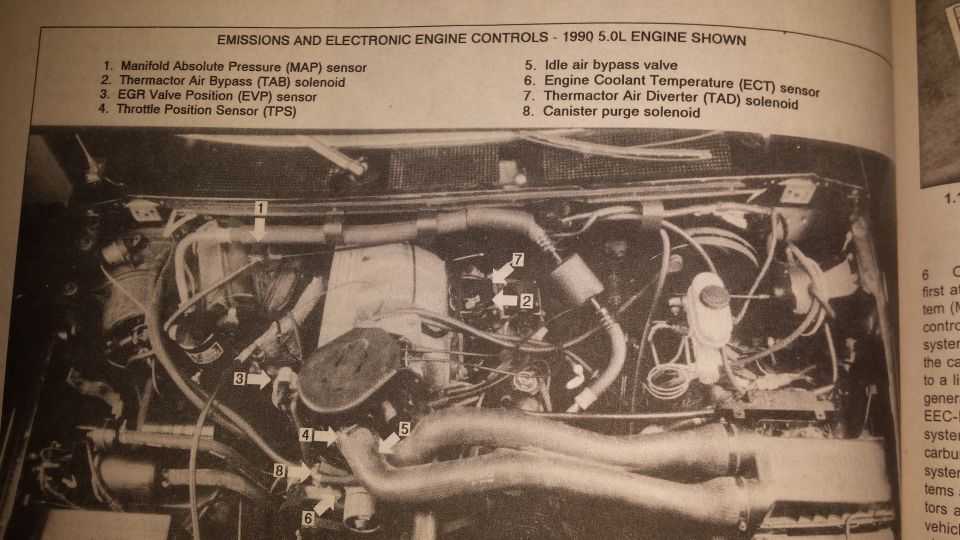 1990 5.0L engine bay with numbered emissions and electronic engine control component callouts