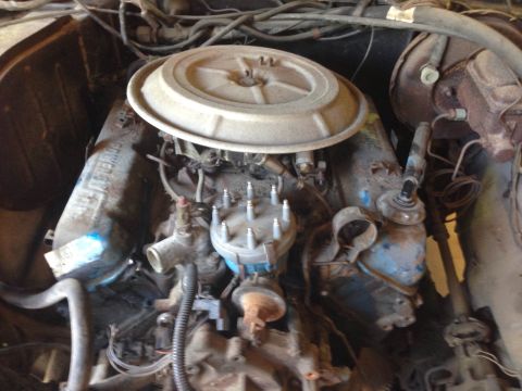 1979 Ford Bronco - Close-up view of an engine bay, showing the air cleaner and distributor cap.