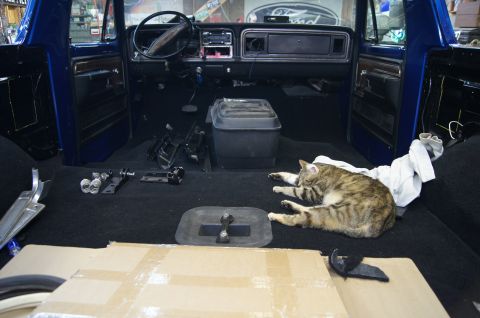 1979 Ford Bronco - She thinks we put the carpet in just for her.