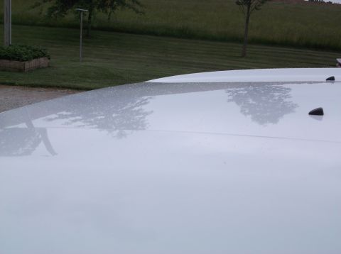 2011 Ford F-250 - The hood of a white truck shows reflections of trees and small water droplets on its surface.