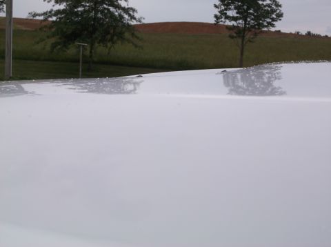 2011 Ford F-250 - The top of a white truck hood is visible, reflecting the overcast sky and surrounding landscape.