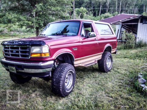 1995 Ford Bronco - still posing