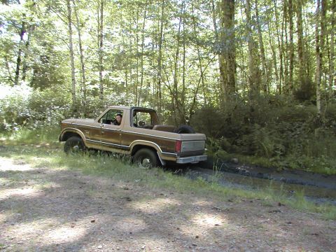 1984 Ford Bronco photo
