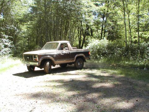 1984 Ford Bronco photo
