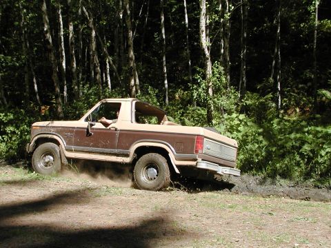 1984 Ford Bronco photo